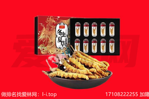 武山县回收虫草.jpg